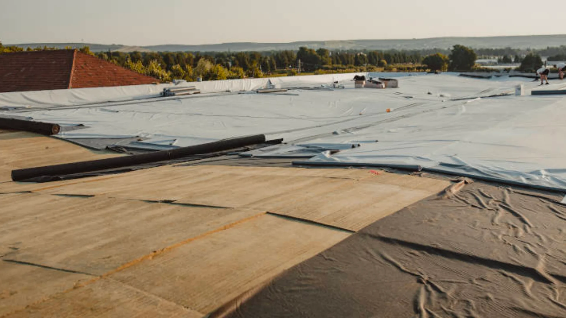 Emergency Tarp Dry In